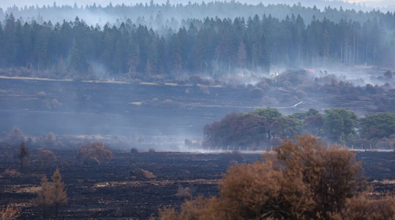 Incendie dans les Hautes Fagnes : une centaine de personnes mobilisées, situation favorable.