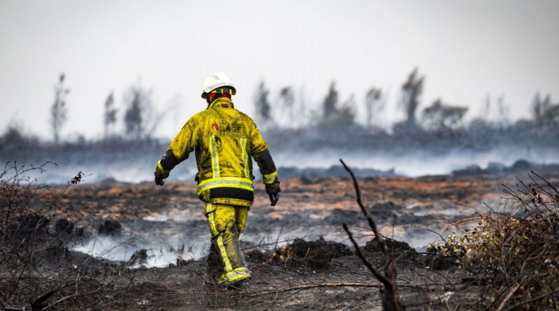 Incendie des Hautes Fagnes : leçons sur climatoscepticisme et procrastination ?