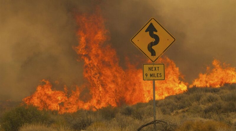 Incendie dévastateur au Nevada : près de 4.300 hectares brûlés aux États-Unis