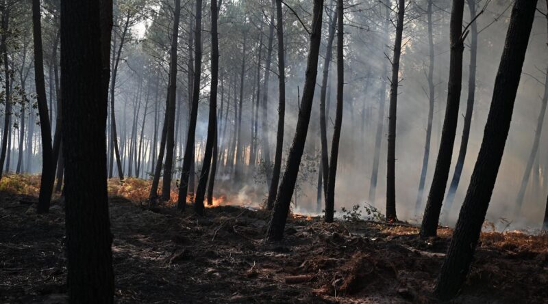 Incendie en Gironde : Le département en vigilance rouge à nouveau