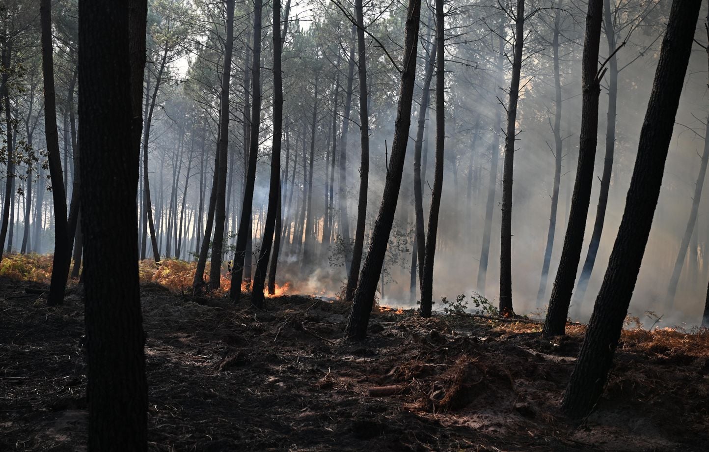 Incendie en Gironde : Le département en vigilance rouge à nouveau