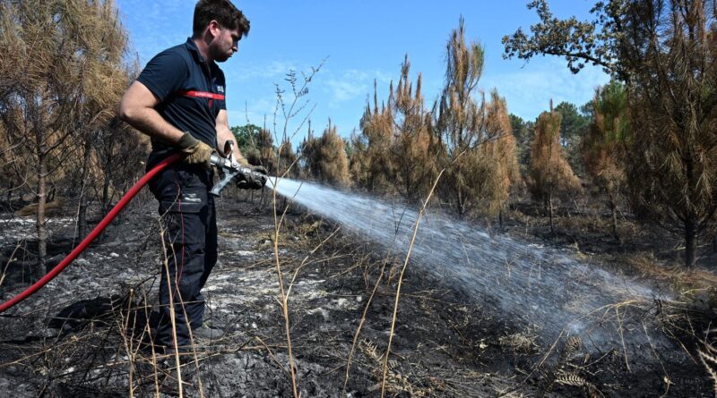 Incendie en Gironde : Les pompiers ont choisi les zones à protéger.