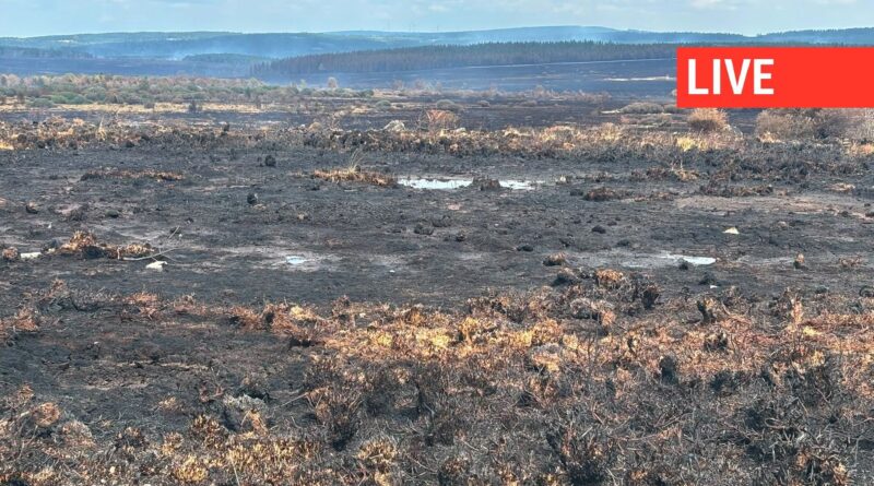 Incendie sous contrôle dans les Hautes Fagnes : une route en ballast accessible