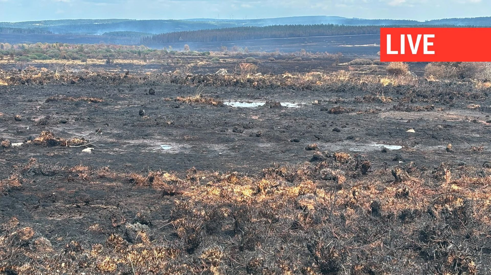 Incendie sous contrôle dans les Hautes Fagnes : une route en ballast accessible