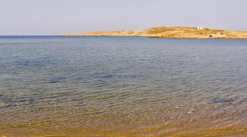 Incendie sur l'île de Lemnos : évacuation de vacanciers en Grèce