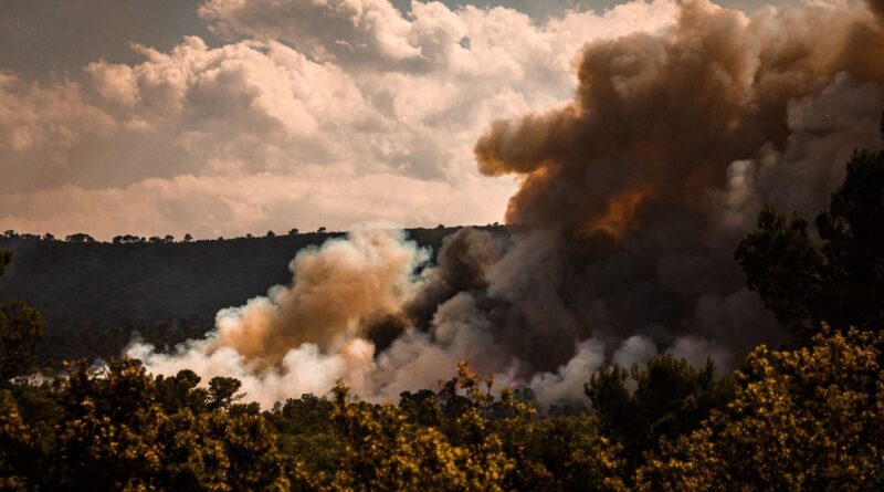 Incendies dans le Var : 1.000 hectares brûlés, 2.500 évacués.