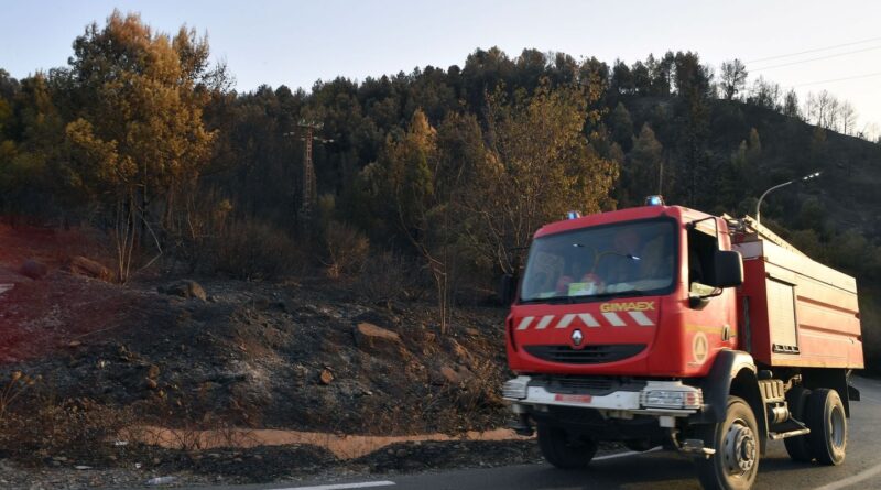 Incendies de forêts en Algérie : au moins 12 morts.