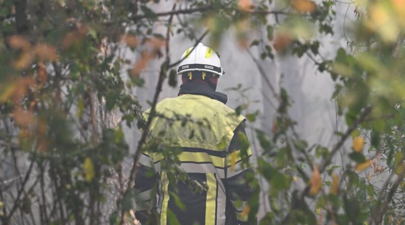 Incendies en direct : Le feu de forêt dans la Drôme « stable » mais « pas fixé »