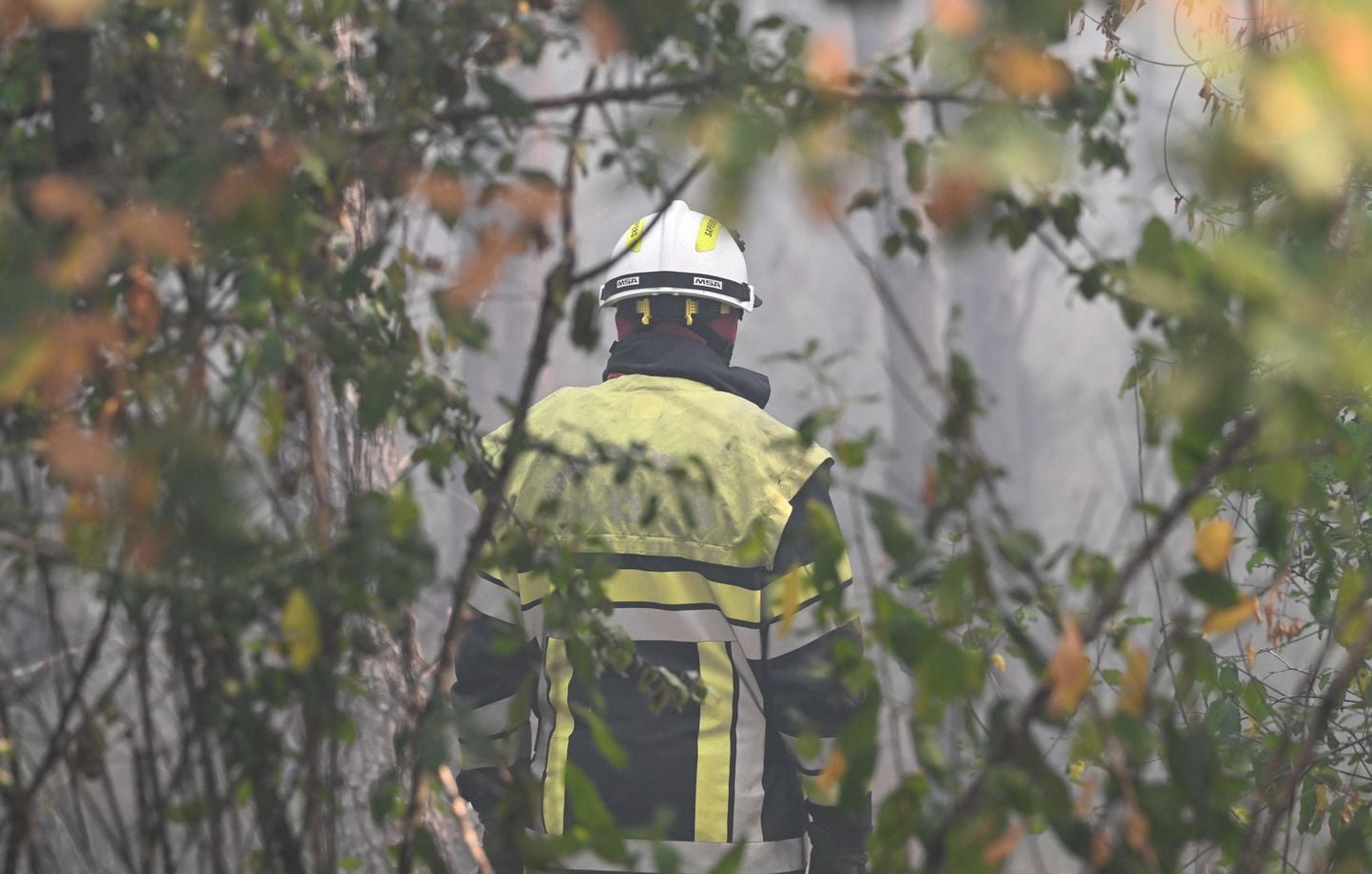 Incendies en direct : Le feu de forêt dans la Drôme « stable » mais « pas fixé »