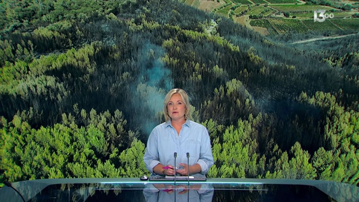 Incendies en Europe : 1000 hectares en six heures dans le Var, 2500 évacués