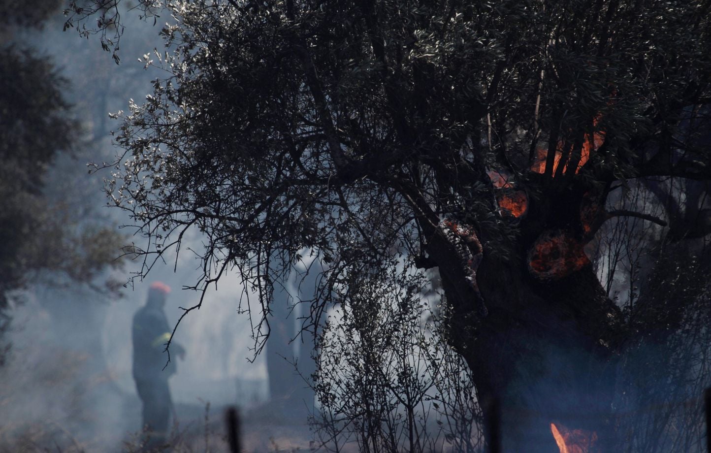 Incendies en Grèce : 300 arrestations depuis le début de l'année