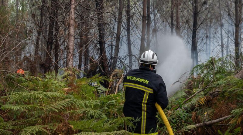 Incendies : FireWatch, la plateforme d'IA pour repérer les feux, est opérationnelle en France.