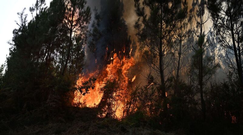 Incendies : Onze départs de feu avec un chalumeau, deux ans de prison ferme