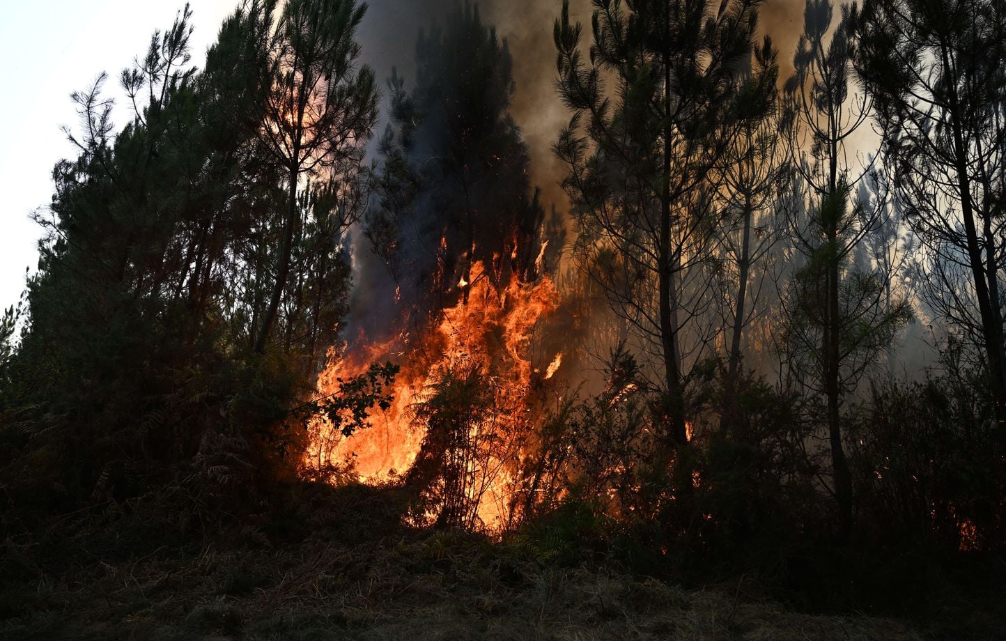 Incendies : Onze départs de feu avec un chalumeau, deux ans de prison ferme