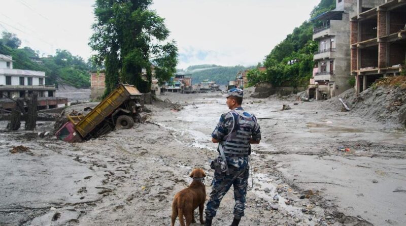 Inondations au Népal : Quatre Français parmi 517 touristes disparus