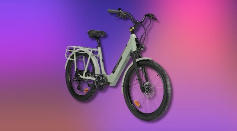 Intersport baisse de 200 € le prix de son vélo électrique familial