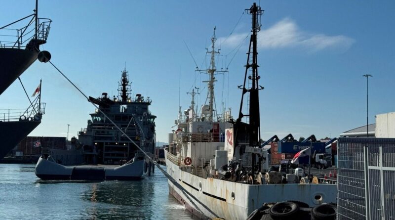 Islande : Trois Français anti-chasse à la baleine arrêtés, menacés d’expulsion