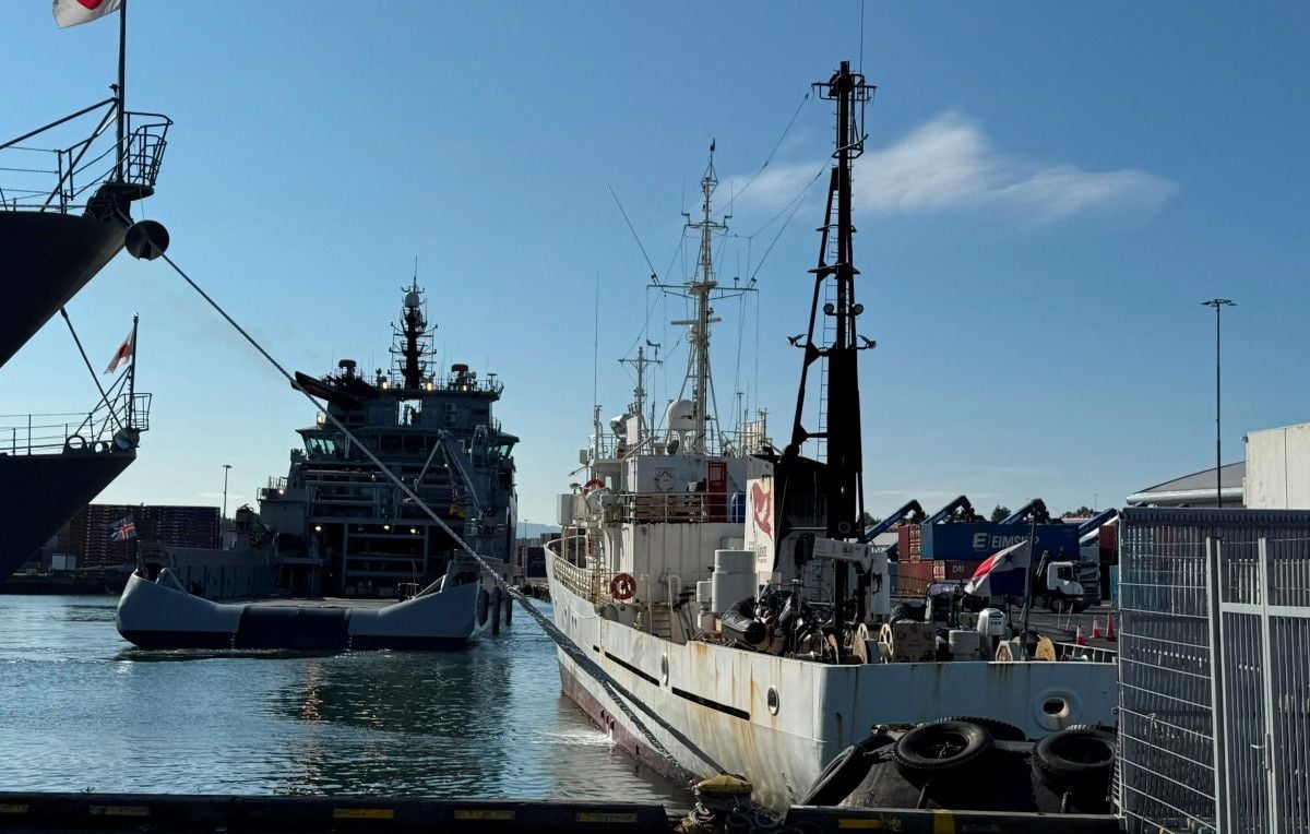 Islande : Trois Français anti-chasse à la baleine arrêtés, menacés d’expulsion