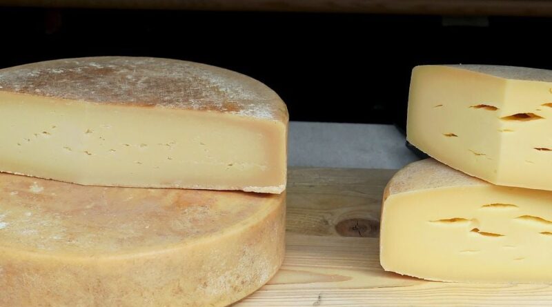 Italie : Un enfant décède après neuf ans de coma dû à l’E. Coli lié au fromage
