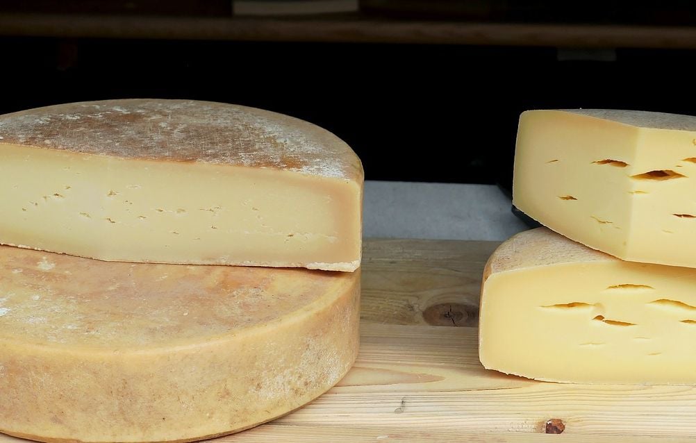 Italie : Un enfant décède après neuf ans de coma dû à l’E. Coli lié au fromage
