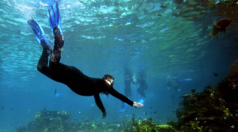 Italie : Une épave romaine avec des centaines d’amphores découverte en Sicile