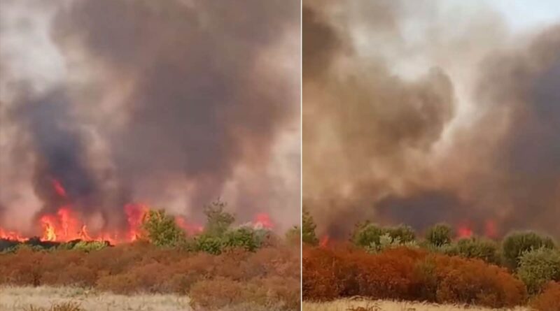 Jendouba : incendie près du barrage de Bou Hertma