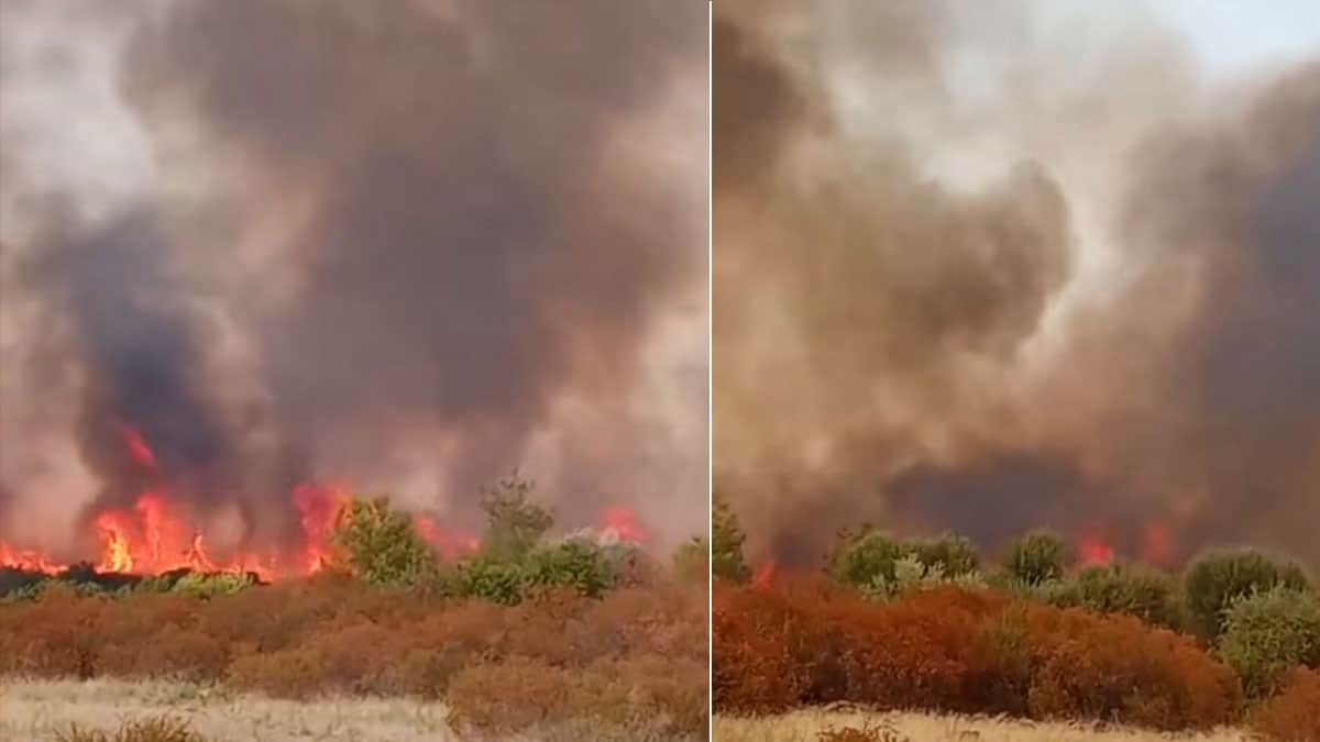 Jendouba : incendie près du barrage de Bou Hertma