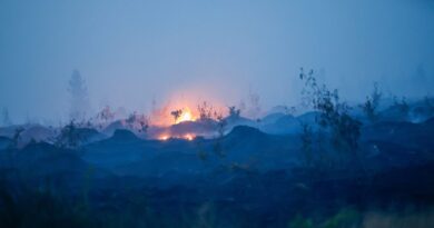 La Belgique mobilisée face à un incendie historique, la pluie arrive enfin.