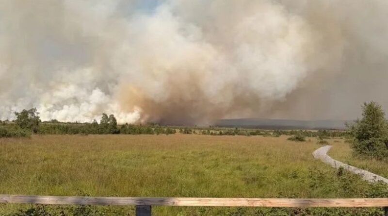 La nationale 68 fermée à nouveau en raison d'un feu dans les Fagnes