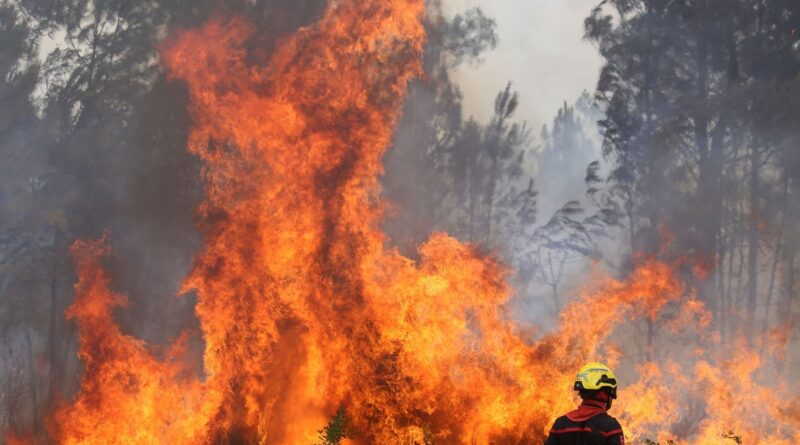 Landes : Reprise du feu, 1.580 hectares déjà brûlés durant la nuit