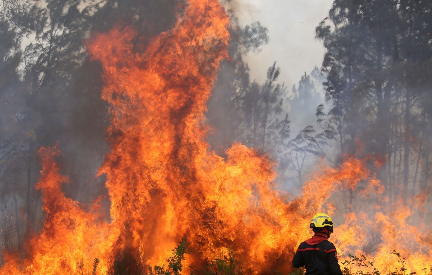 Landes : Reprise du feu, 1.580 hectares déjà brûlés durant la nuit