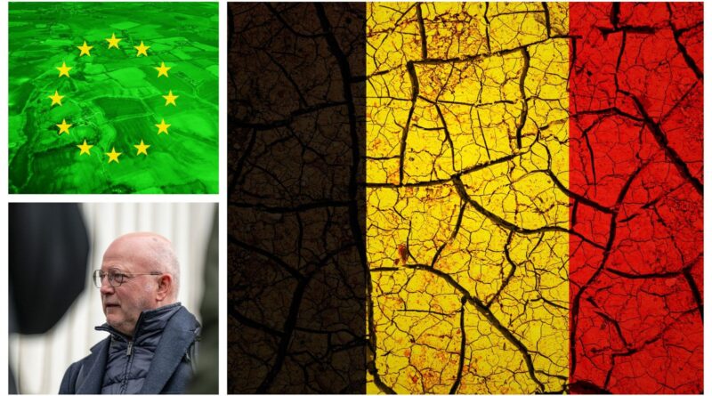 Le ministre du Climat affirme que le plan belge pour la nature ne sera pas prêt à temps.