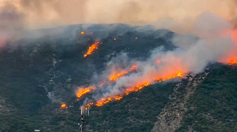 Le violent incendie d’Oued Meliz à Jendouba maîtrise après avoir ravagé 40 hectares.