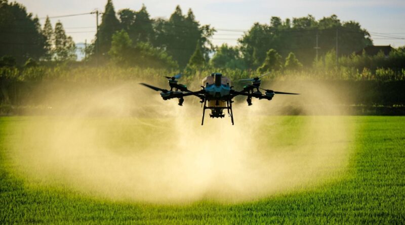 Les États-Unis approuvent des pesticides liés à des « polluants éternels »