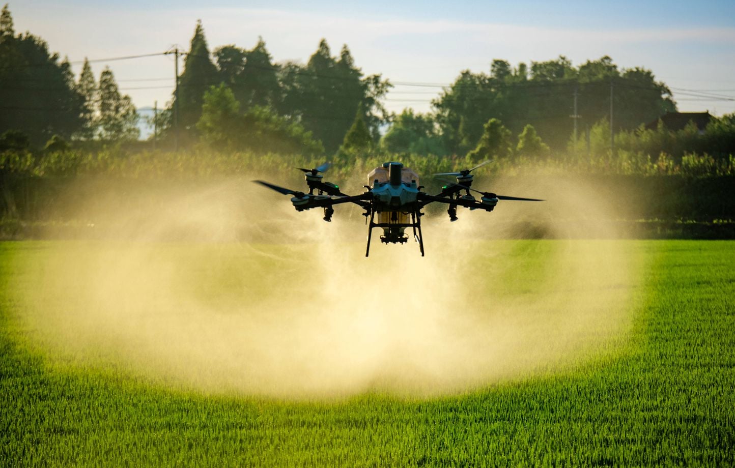 Les États-Unis approuvent des pesticides liés à des « polluants éternels »
