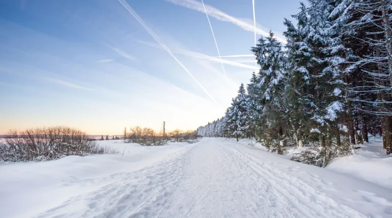 Les Fagnes, un territoire qui n'est pas si naturel que ça