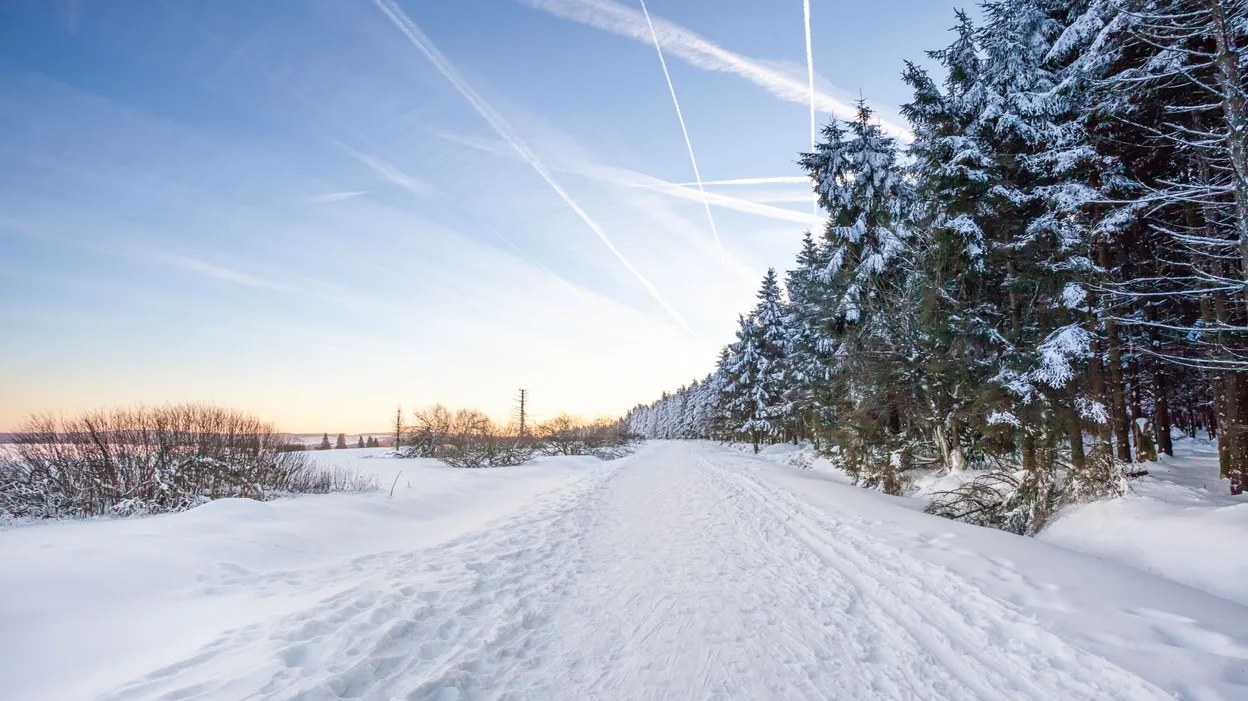 Les Fagnes, un territoire qui n'est pas si naturel que ça