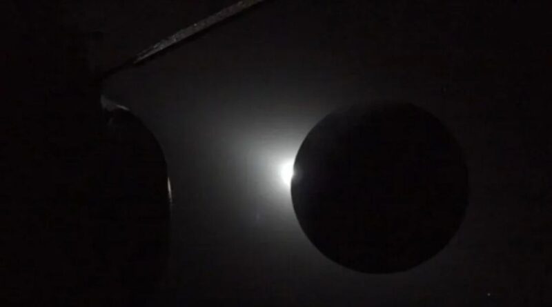 Les impacts d’une éclipse sur les animaux, expliqués par un spécialiste