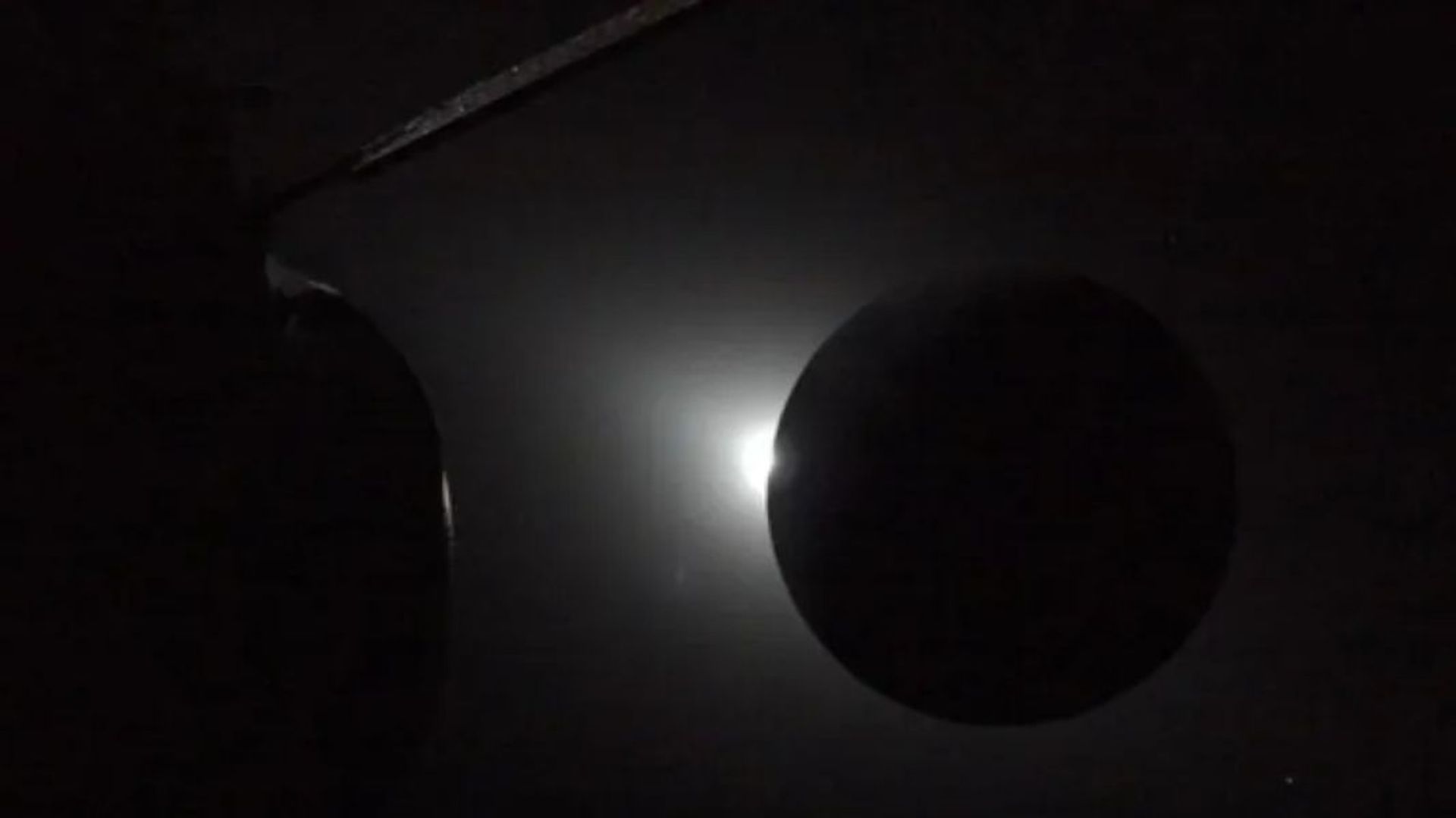 Les impacts d’une éclipse sur les animaux, expliqués par un spécialiste