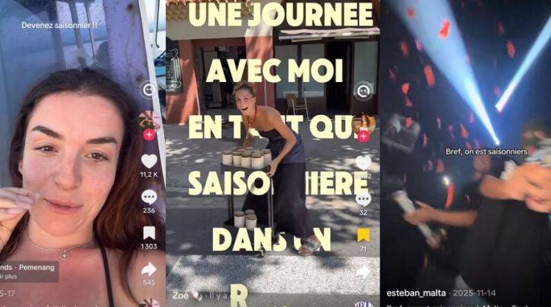 Les jeunes redécouvrent les jobs saisonniers grâce aux réseaux sociaux.