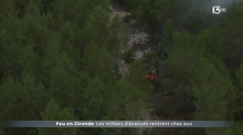 Mégafeu en Gironde : des pompiers ukrainiens interviennent pour la première fois en France