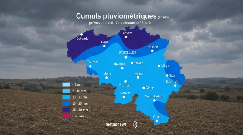 Météo en Belgique : 5 ou 10 mm de pluie suffiront-ils contre le feu ?