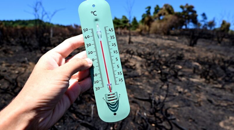 Météo-France prolonge la vigilance orange canicule pour 20 départements