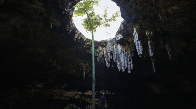 Mexique : 15 jours sans manger dans une grotte sous-marine avant d’être repéré