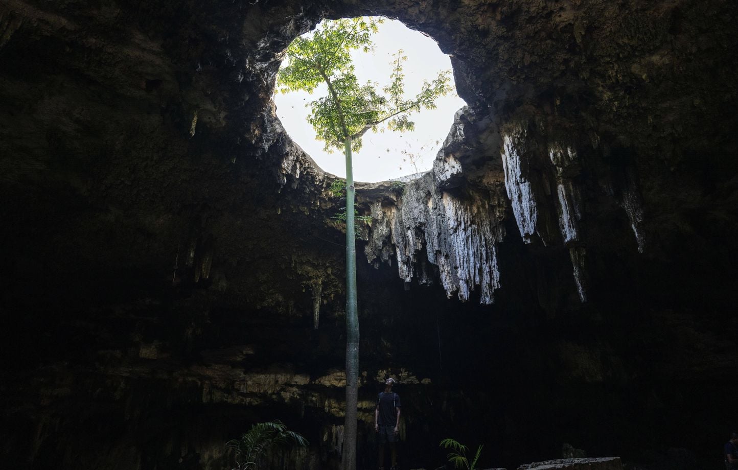 Mexique : 15 jours sans manger dans une grotte sous-marine avant d’être repéré