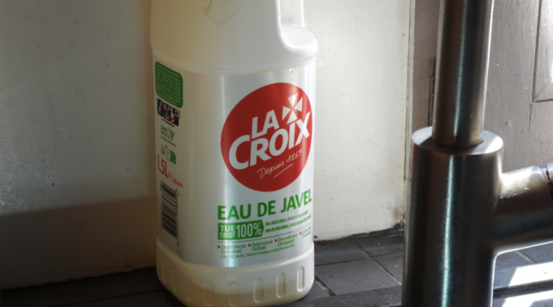 Mon aspirateur robot a peut-être sauvé ma chienne : explications.