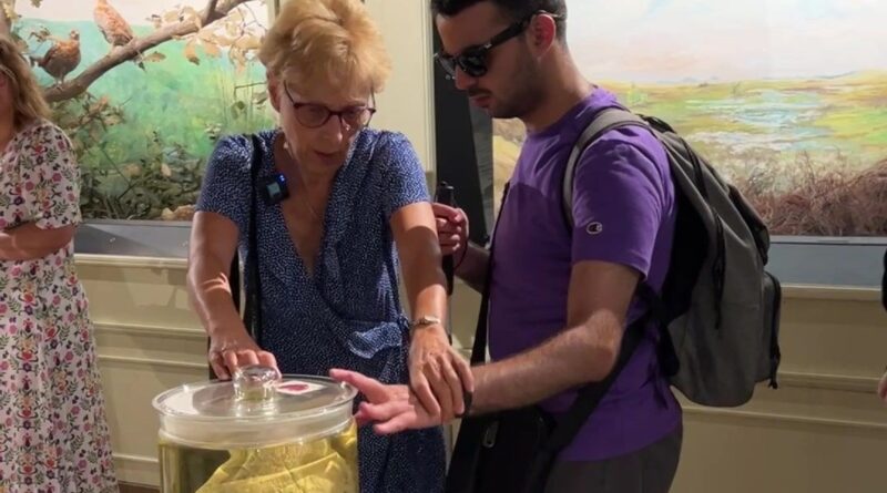 Musée d’histoire naturelle et vivarium : visite adaptée aux malvoyants