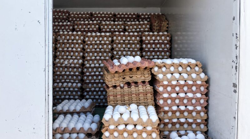 Œufs : les raisons de la flambée des prix dévoilées