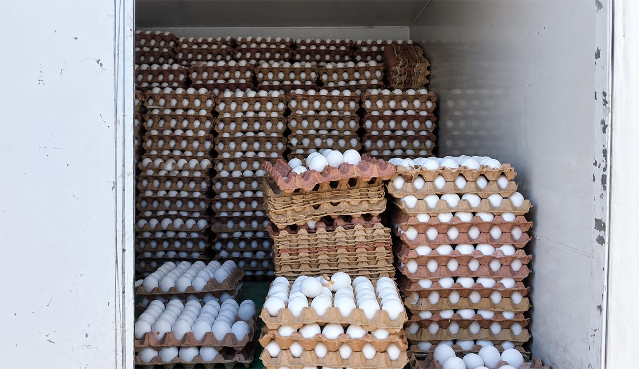 Œufs : les raisons de la flambée des prix dévoilées