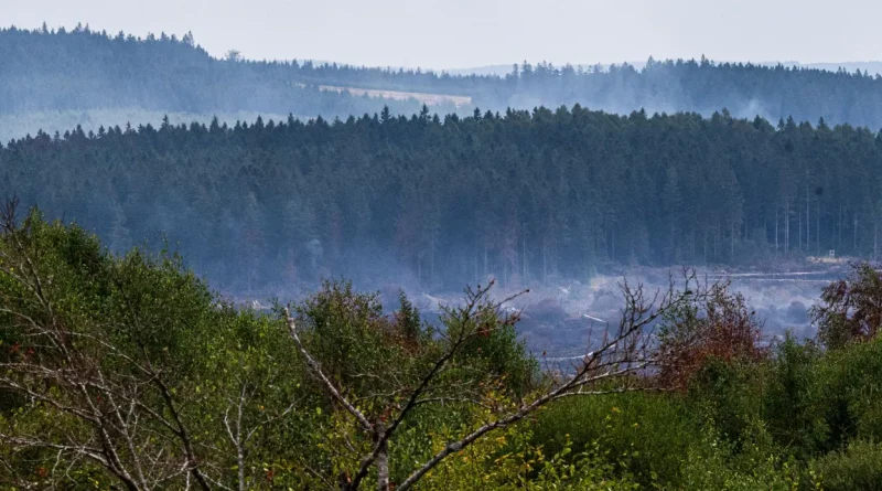 Pourquoi le déni climatique persiste-t-il malgré les vagues de chaleur et d'incendies ?